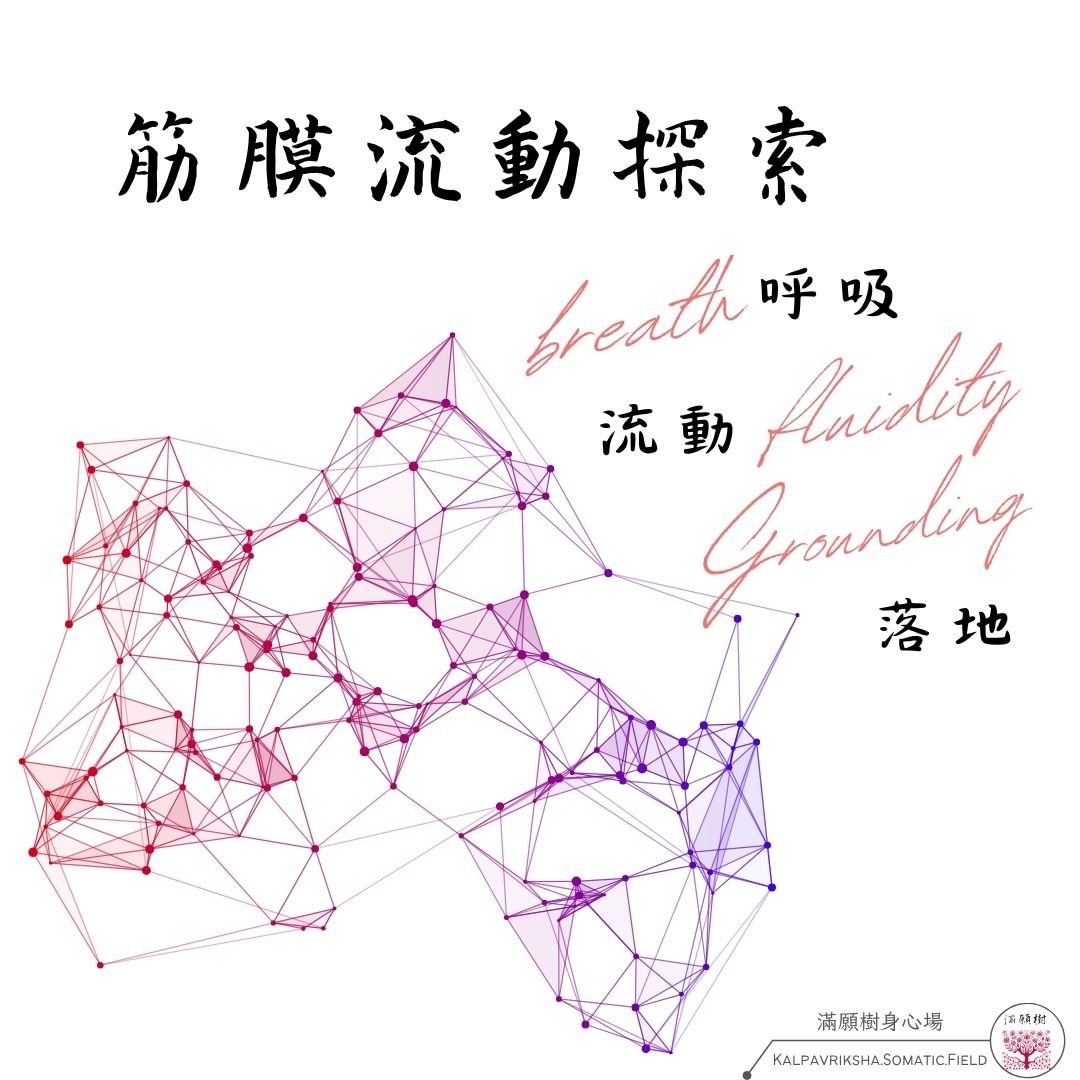 筋膜流動探索——呼吸 breath、流動 fluidity、落地 grounding