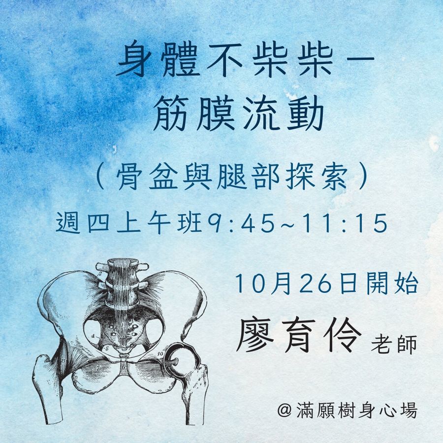 筋膜流動NO.2