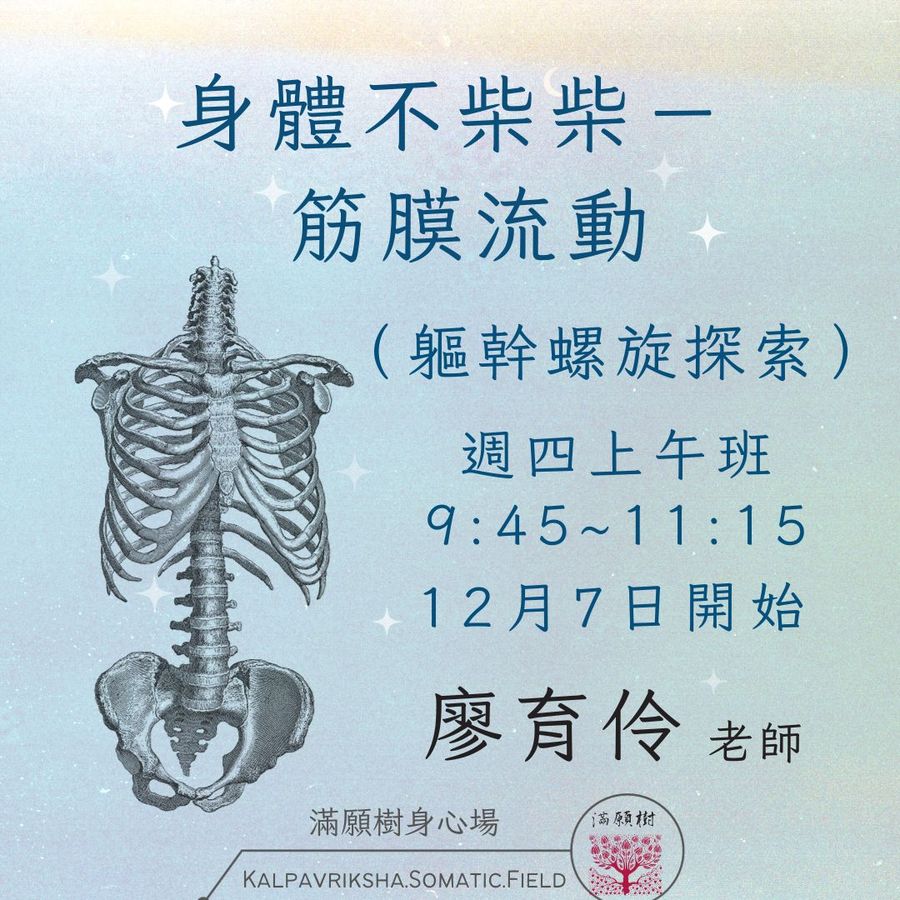 筋膜流動NO.3