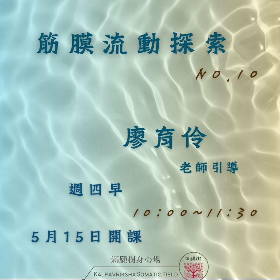 筋膜流動No.10