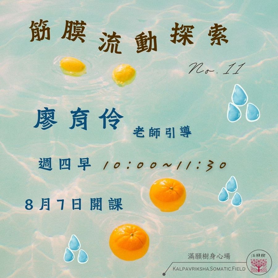 筋膜流動No.11