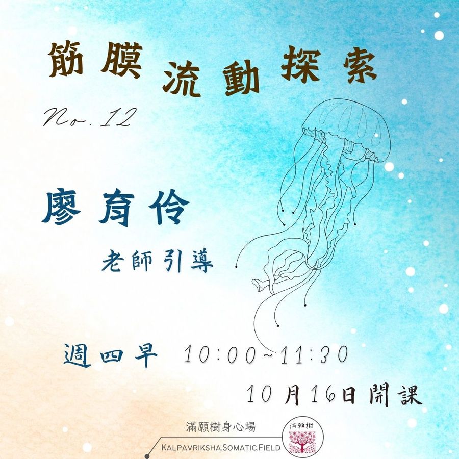 筋膜流動No.12