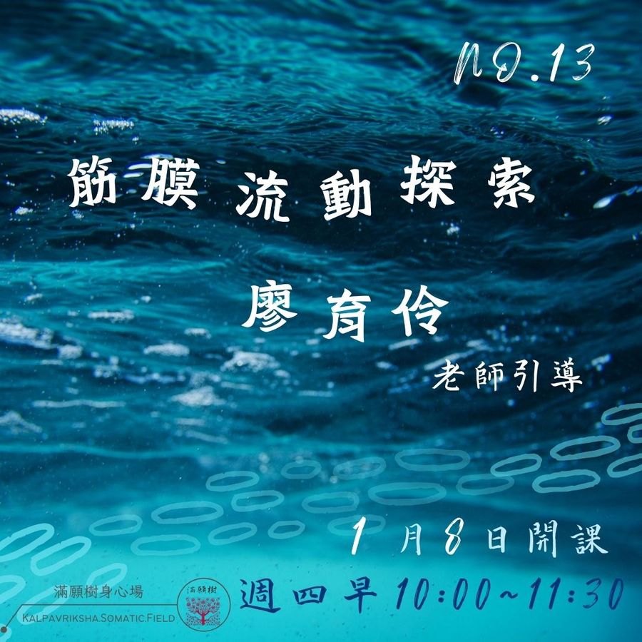 筋膜流動No.13