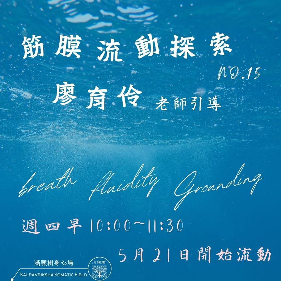 筋膜流動No.15