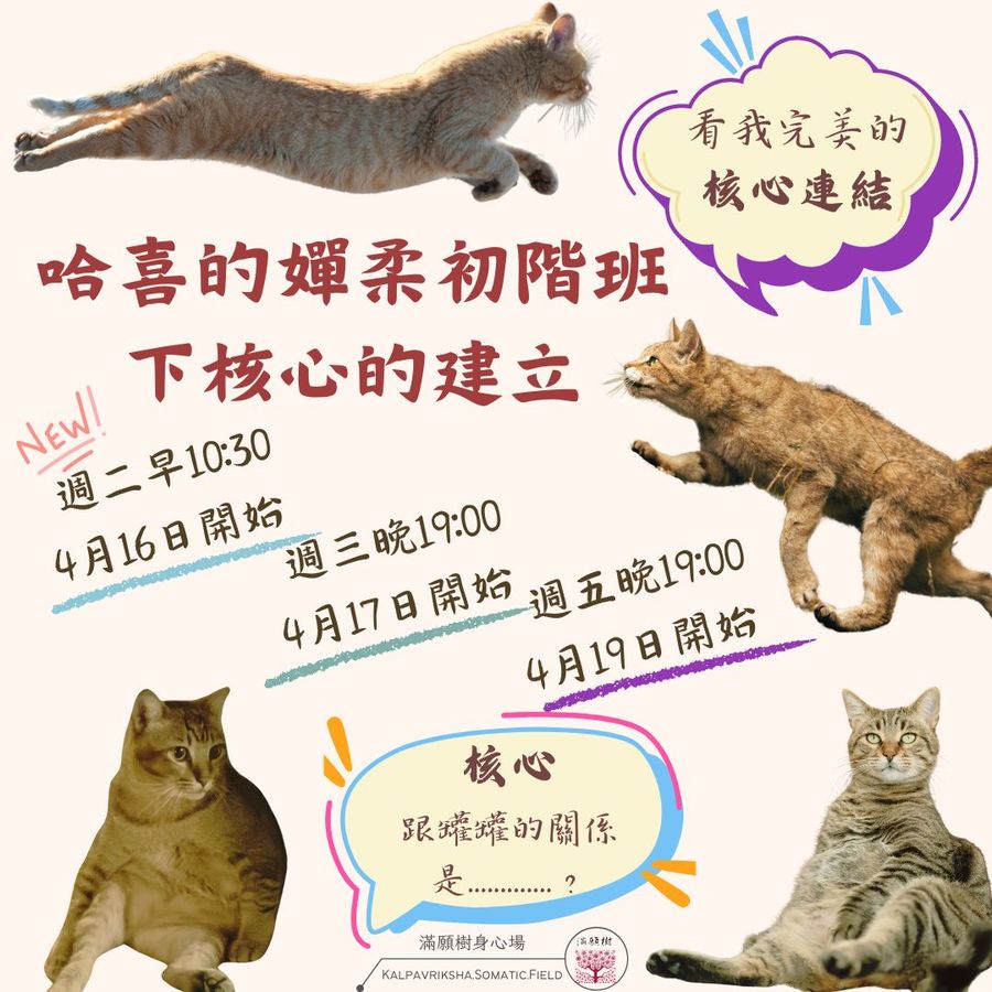 No.4哈喜的嬋柔初階班